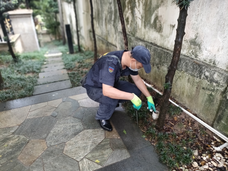 龙门县别墅白蚁防治-龙门白蚁防治中心电话-卫城白蚁防治技师团队携高端白蚁检测设备上门检测治理